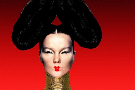 bjoerk homogenic.